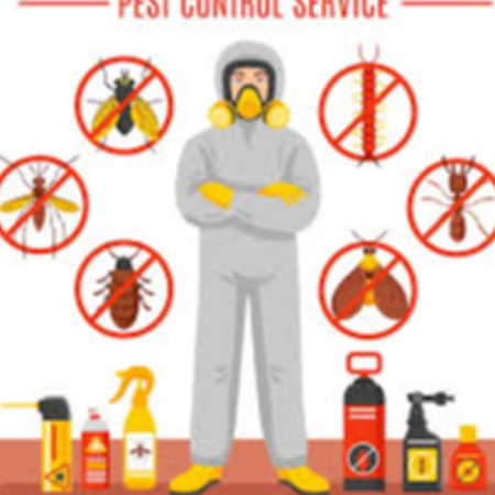 Sakshi Pest control
